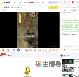 我是一颗小虎牙1151虎牙文化直播