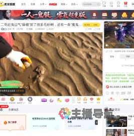 赶海二哥户外直播