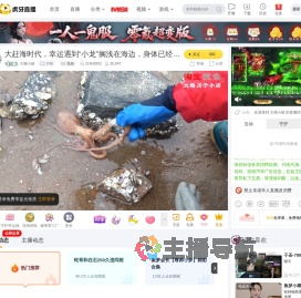 大梅小镇户外直播