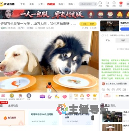 大壮和朵拉户外直播