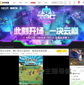 轮台寄居蟹lol云顶之弈直播
