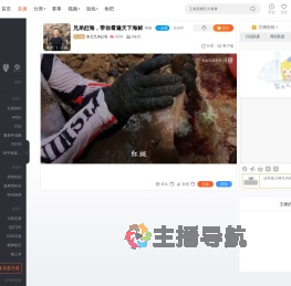 渔戈兄弟赶海直播