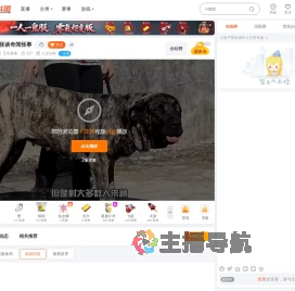 王生怪谈直播