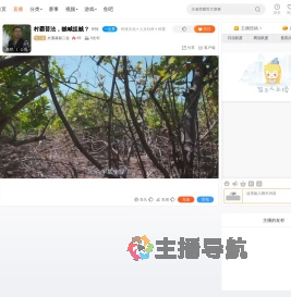 大漠叔叔二台直播