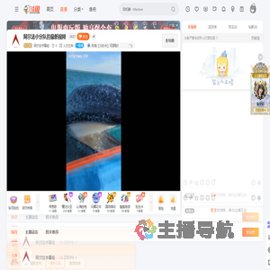 阿尔法字幕组直播