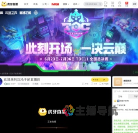 沉沦子lol云顶之弈直播