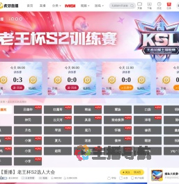 老王杯S2