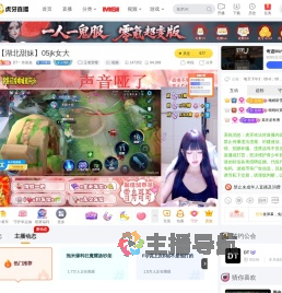 DT丶玲崽崽王者荣耀直播