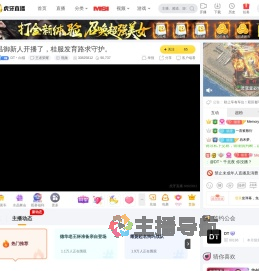 DT丶白猫王者荣耀直播