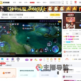 婉婉青一王者荣耀重播