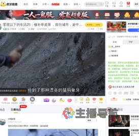 S哥影视原创直播