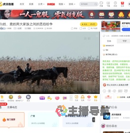 小猪猪一起看直播