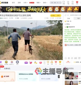 炊烟大壮户外直播