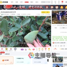 湘村大脸妹儿虎牙地方直播