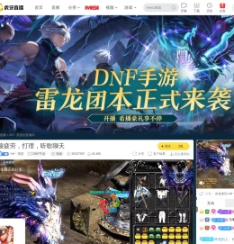 AH丶黑蛋DNF手游直播