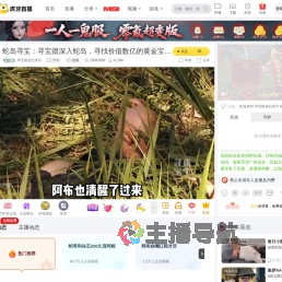 寻宝炼金纪录片户外直播