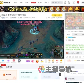 魏某人英雄联盟直播