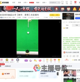 杨茹台球【教学