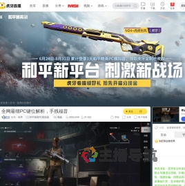 狂鸟丶龍腾和平精英PC模拟器直播